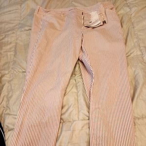 Womens Pixie Pants